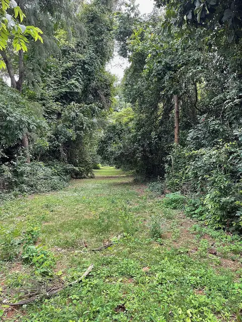 Jardin Botanique et Zoologique Edouard Adjanohoun, Abomey-Calavi — photo by Fawaz.tairou