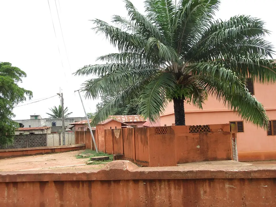 Musée Honmè, Porto-Novo — photo by Rachad sanoussi