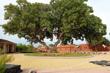 Place Chacha