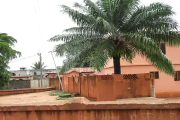 Musée Honmè